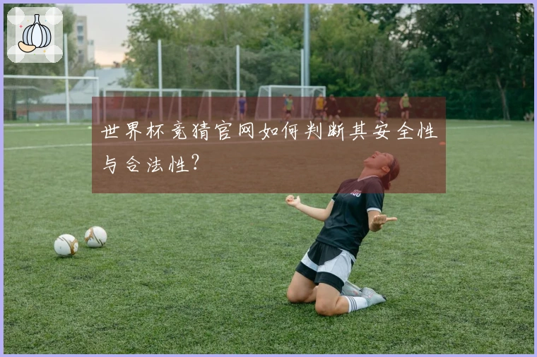 世界杯竞猜官网如何判断其安全性与合法性？