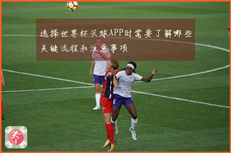 选择世界杯买球APP时需要了解哪些关键流程和注意事项