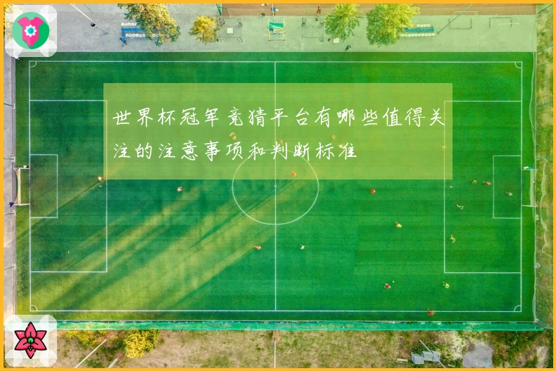 世界杯冠军竞猜平台有哪些值得关注的注意事项和判断标准