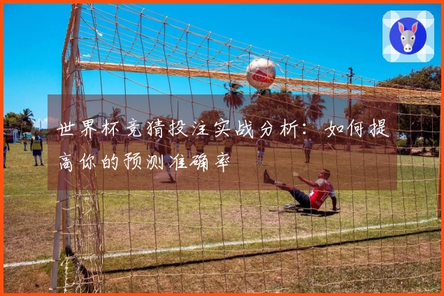 世界杯竞猜投注实战分析：如何提高你的预测准确率